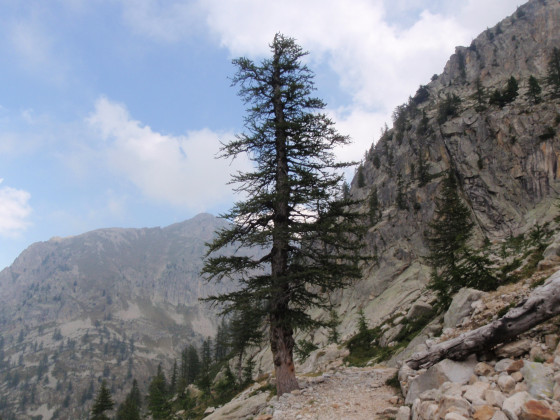 Vallon du Colletto del Valasco