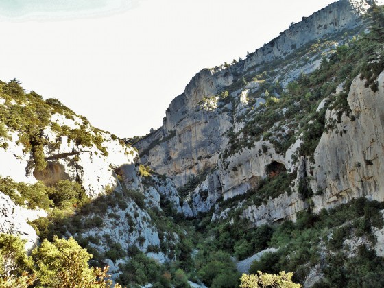 Vallon du Combes