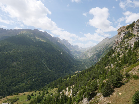 Vallon du Fournel