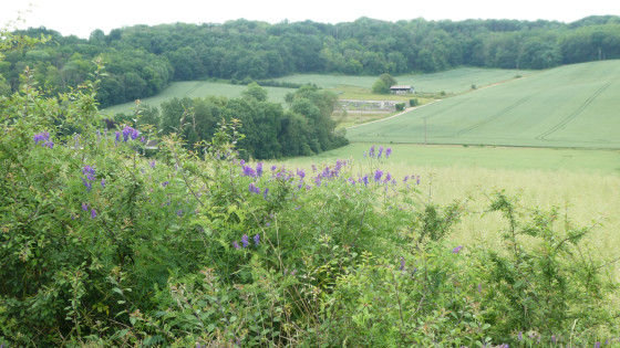 Vallon du ru des Méances