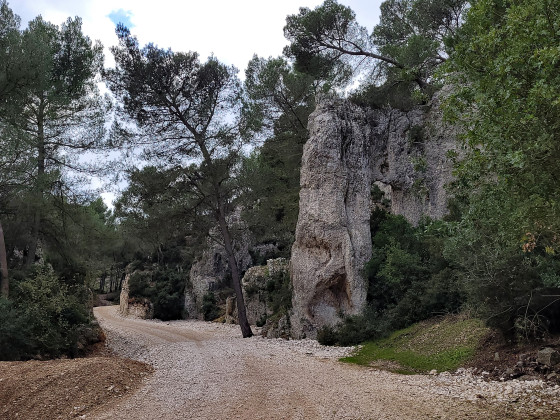 Vallon du Saut