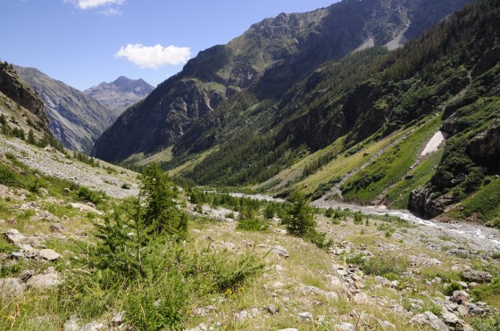 Vallon du Sélé et pentes de Clapouse