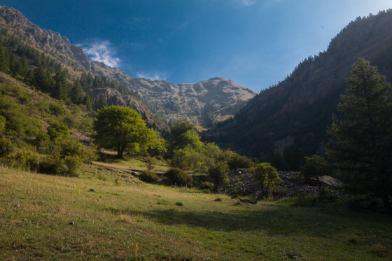 Vallon du torrent de Vens