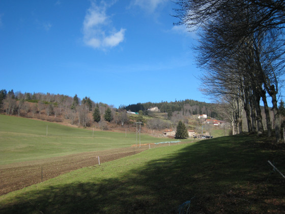 Vallon Ferme du Prince