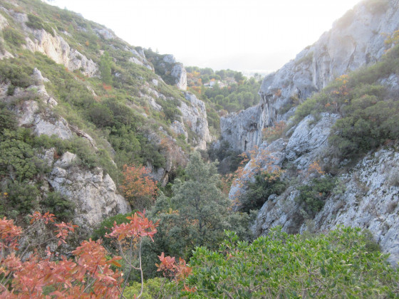 Vallon Saint-Clair