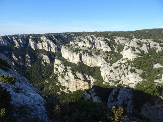 Vallon sauvage