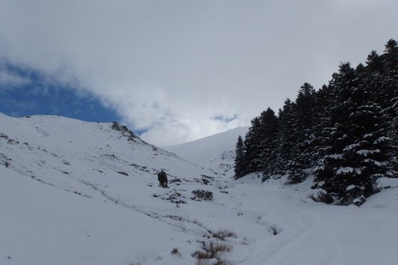 Vallon