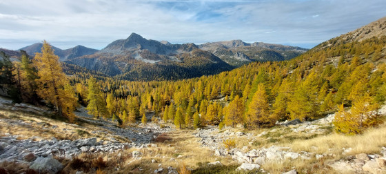 Vallon