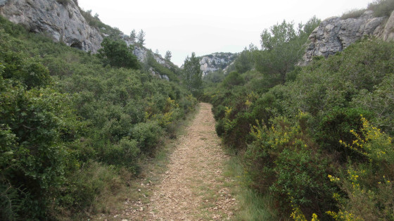 Vallon