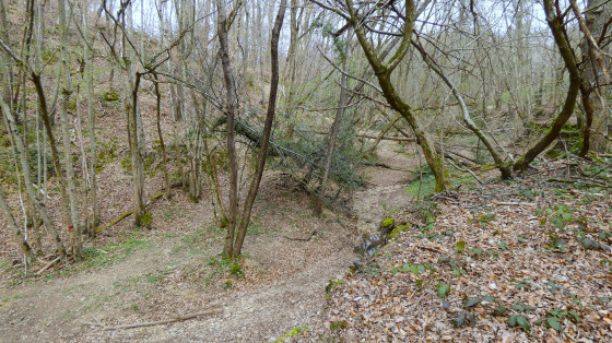Vallon