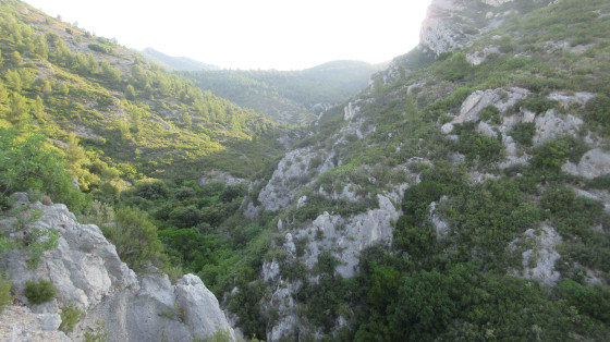 Vallon