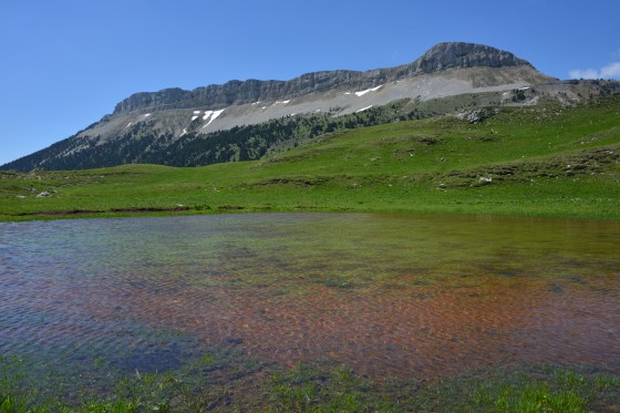 Dos du Glandasse  du refuge de l\'Essaure