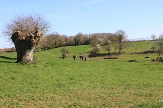 Vallonnement pr&egrave;s de la Granerie