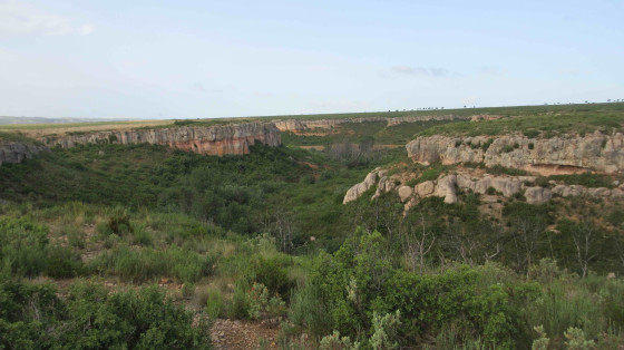 Vallons de Gourgoulousier, Livon et Cantarel