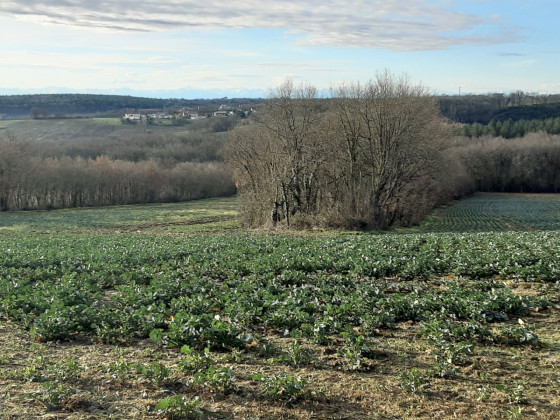 Vallons gersois
