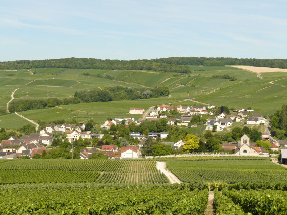 Vandi&egrave;res