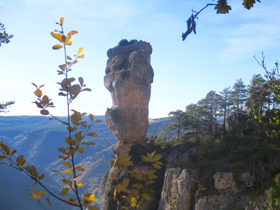 Vase de S&egrave;vres