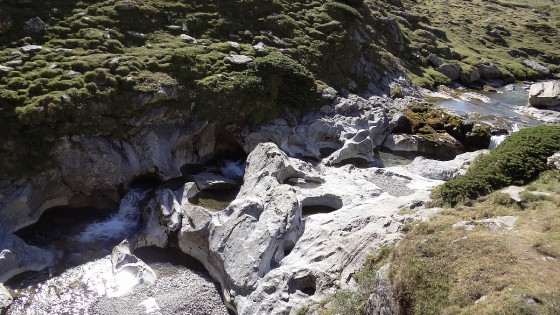 Vasque magnifiques