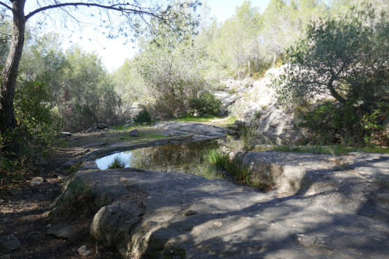 Vasque naturelle