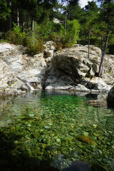 Vasque