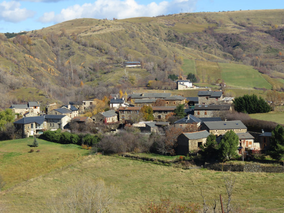 Vedrignans