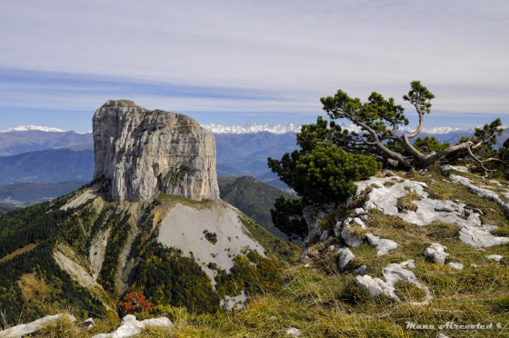 Végétal et minéral
