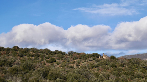 Végétation basse et les ruines de Sant Cristau de Fornols