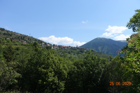Venanson