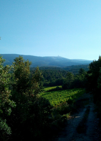 Ventoux au d&eacute;part