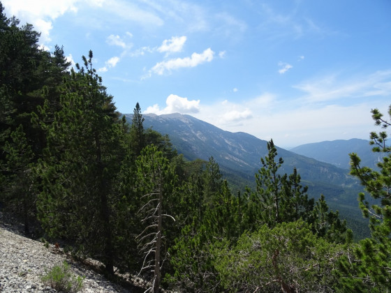 Ventoux au loin apr&egrave;s le Col de la Frache.