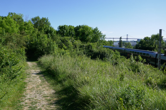 Verdure et technologies