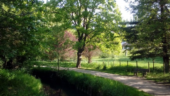Verdure