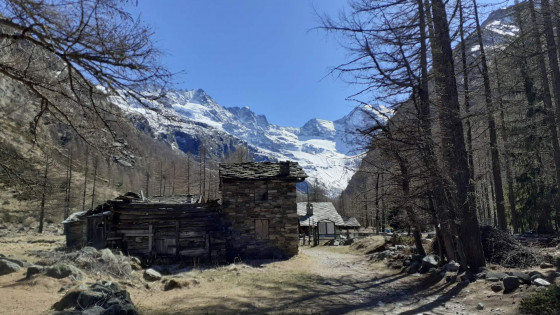 Vermianaz