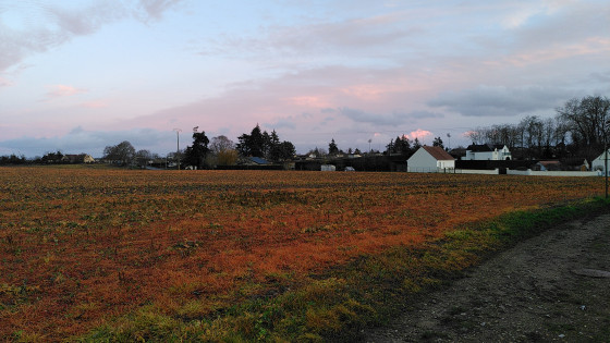 Vers Chatenay