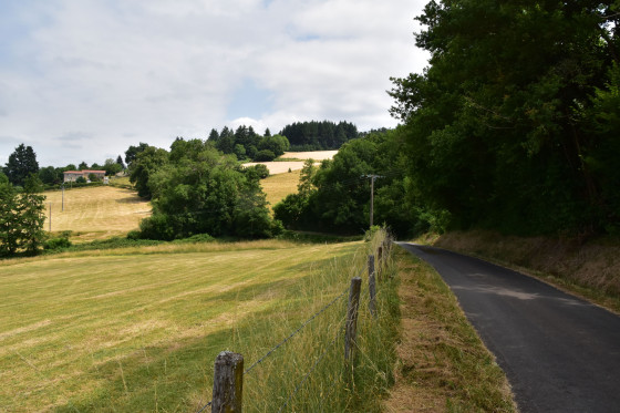 Route de la Nuizière