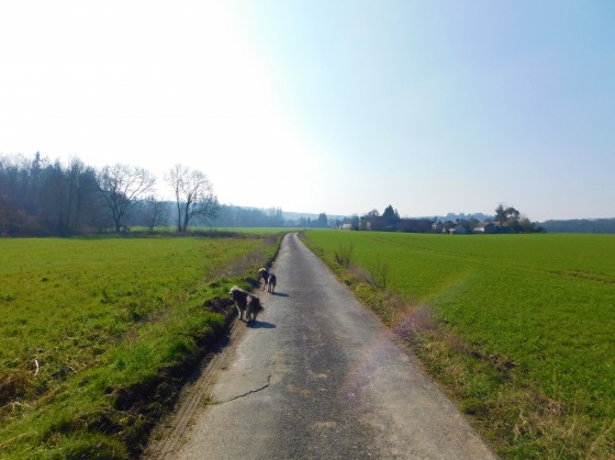 Vers D\'Huisson