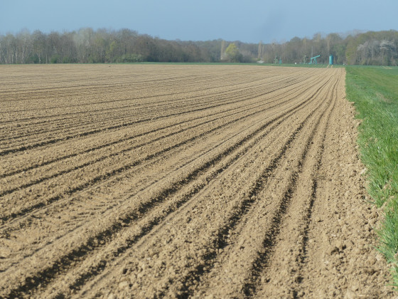 Vers Fontains au début du printemps