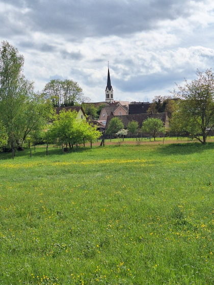 vers Kaltenhouse