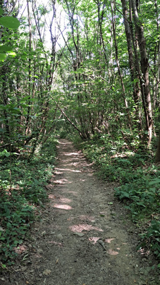 Vers la combe De Roche