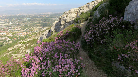 vers la croix