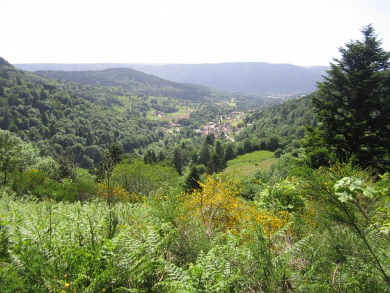 Vers la Piquante Pierre