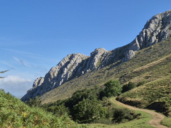 vers Le Béhorléguy qui doit être sur la droite par rapport au chemin