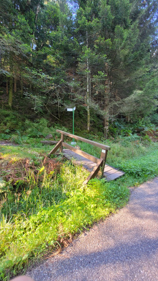 Vers le Birkenfels