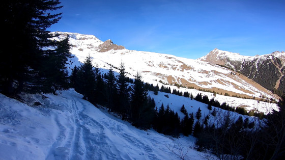 Vers le cirque
