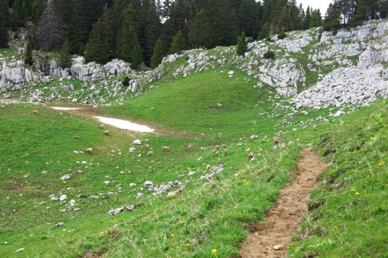 Vers le Col du Câble