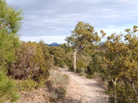 Vers le col des Sacs.