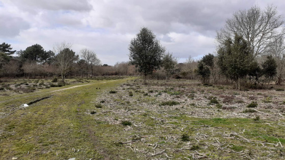 Vers le Marais de Kerdual