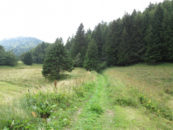 Vers le Mollard