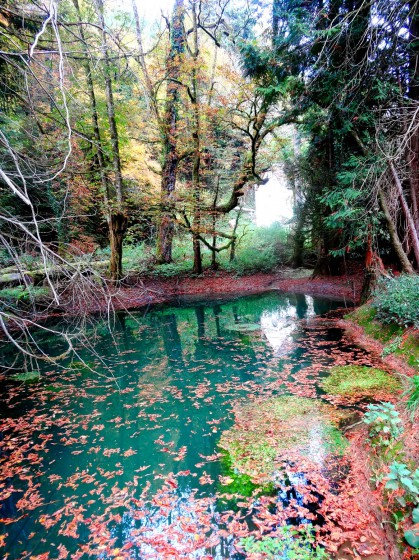 Vers le moulin de Bléfond
