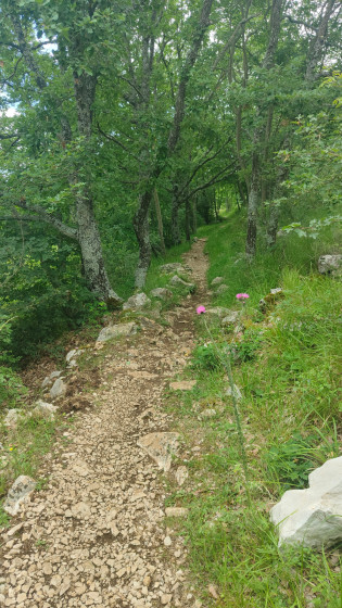 vers le plan de Noves